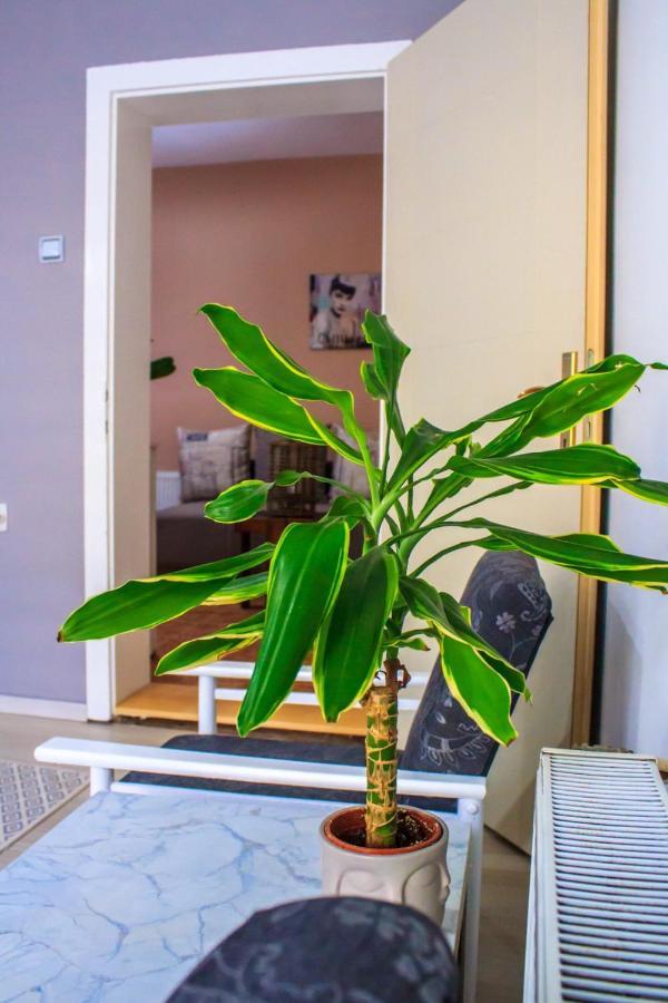 Bb Downtown Apartment バイナ・バシュタ エクステリア 写真