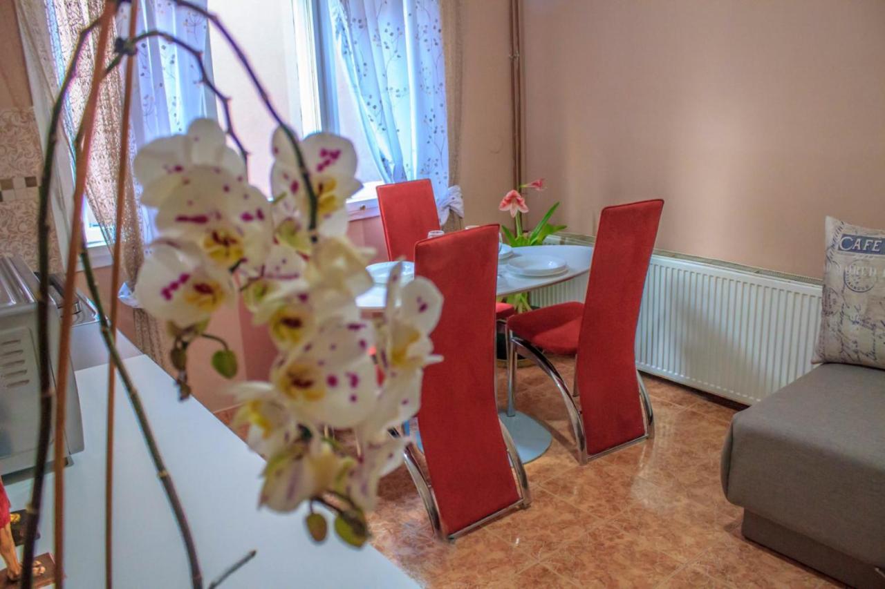 Bb Downtown Apartment バイナ・バシュタ エクステリア 写真