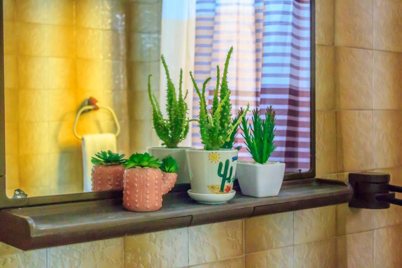 Bb Downtown Apartment バイナ・バシュタ エクステリア 写真